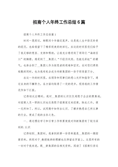 招商个人年终工作总结6篇