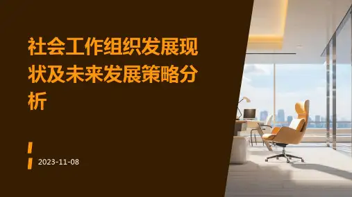 社会工作组织发展现状及未来发展策略分析