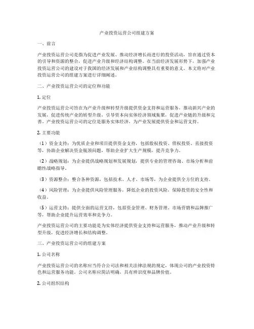 产业投资运营公司组建方案