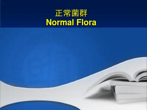 正常菌群——课件