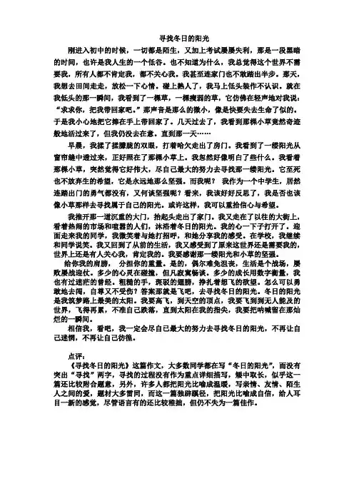 寻找冬日的阳光