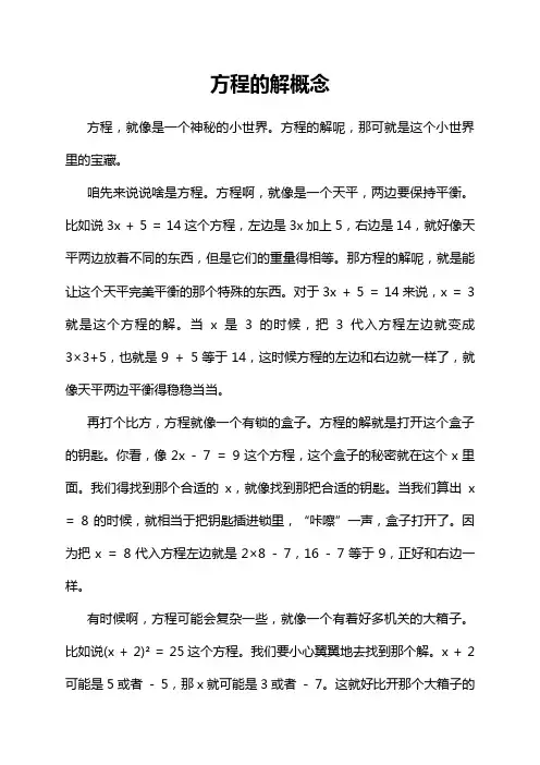 方程的解概念