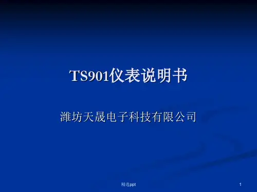 皮带称培训材料PPT课件