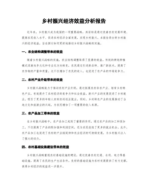乡村振兴经济效益分析报告