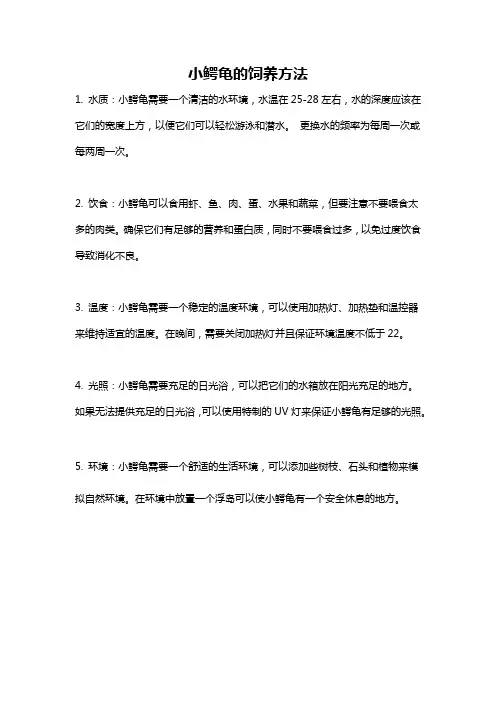 小鳄龟的饲养方法