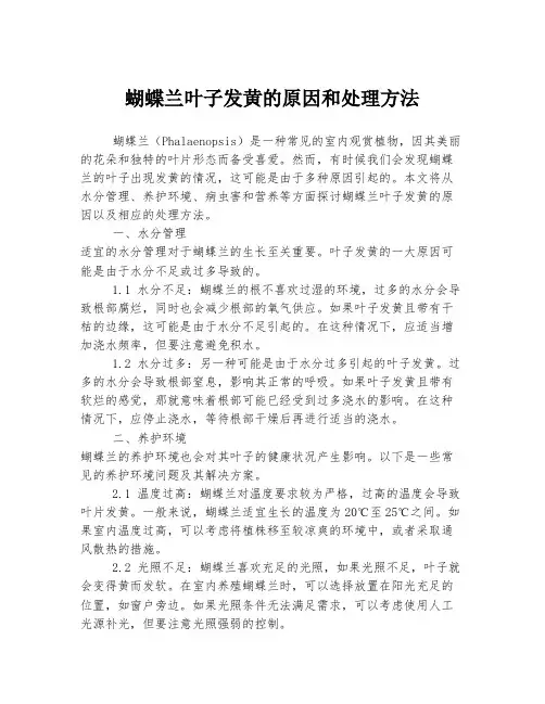 蝴蝶兰叶子发黄的原因和处理方法