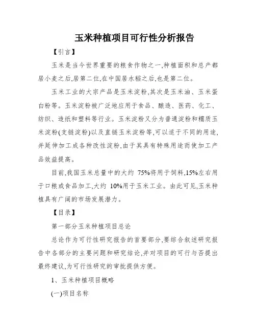 玉米种植项目可行性分析报告