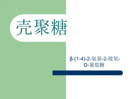 壳聚糖