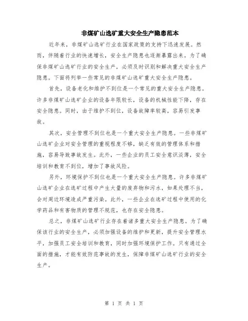 非煤矿山选矿重大安全生产隐患范本