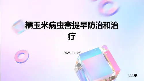 糯玉米病虫害提早防治和治疗