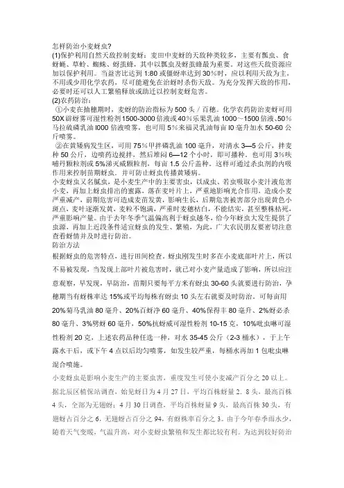 小麦蚜虫的防治