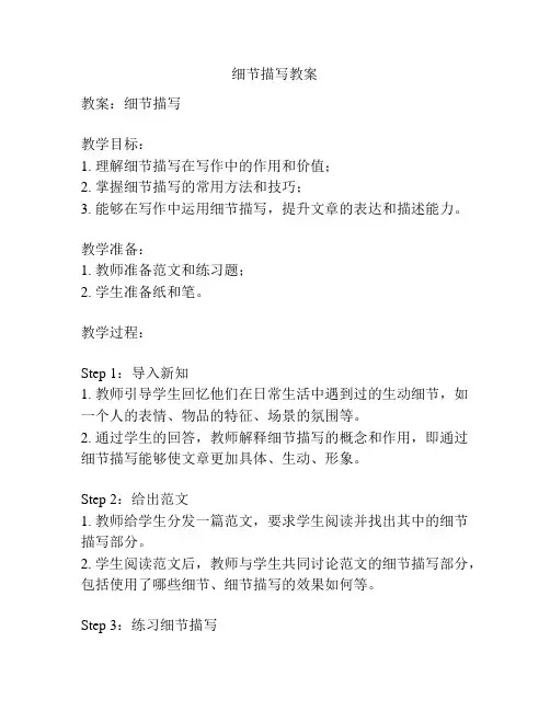 细节描写教案