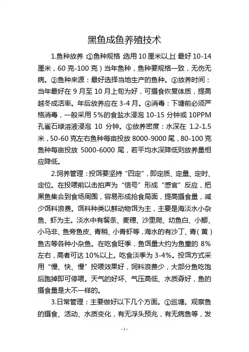 黑鱼成鱼养殖技术          