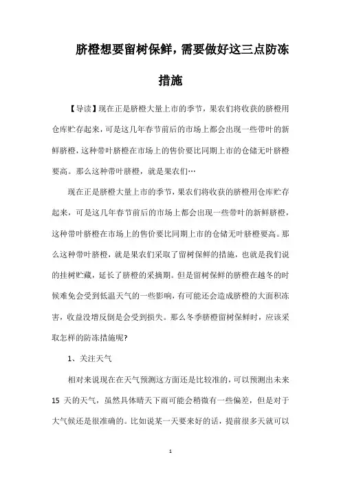 脐橙想要留树保鲜,需要做好这三点防冻措施