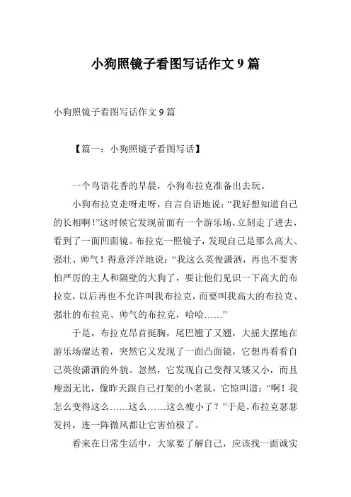 小狗照镜子看图写话作文9篇