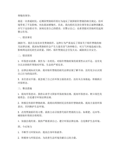 秸秆禁烧工作个人检讨书
