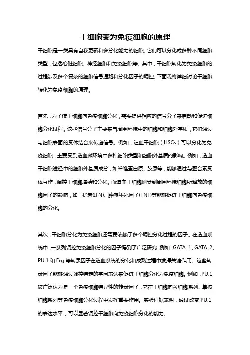 干细胞变为免疫细胞的原理