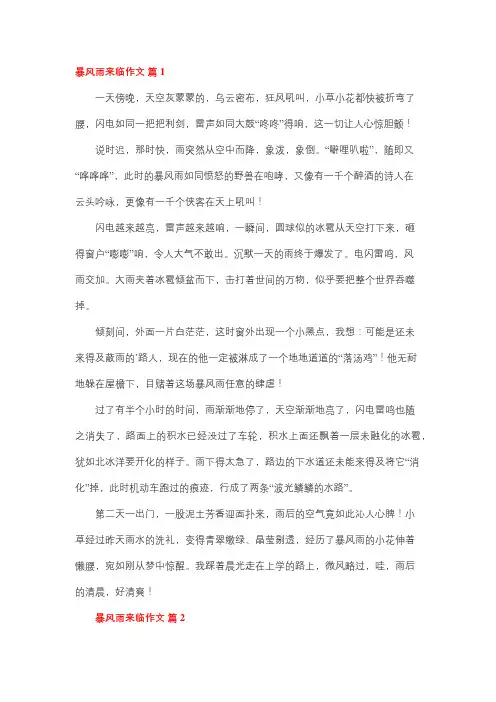 暴风雨即将来临作文600字