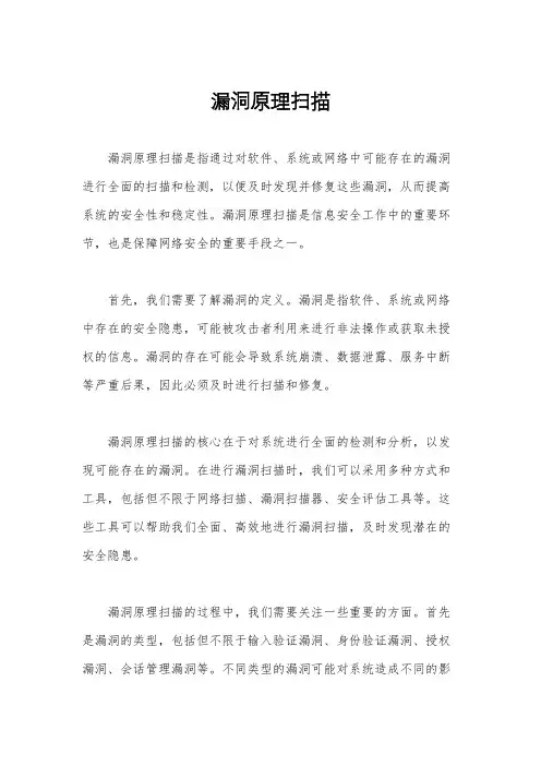 漏洞原理扫描