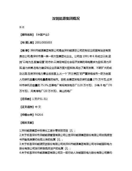 深圳能源集团概况