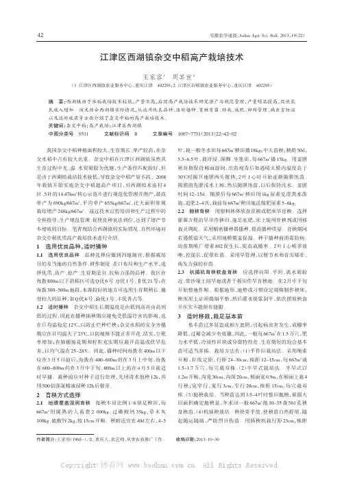 江津区西湖镇杂交中稻高产栽培技术       