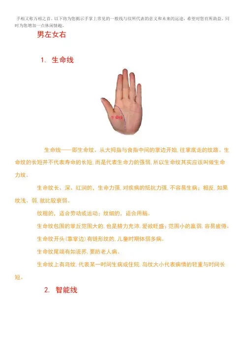 掌纹知识