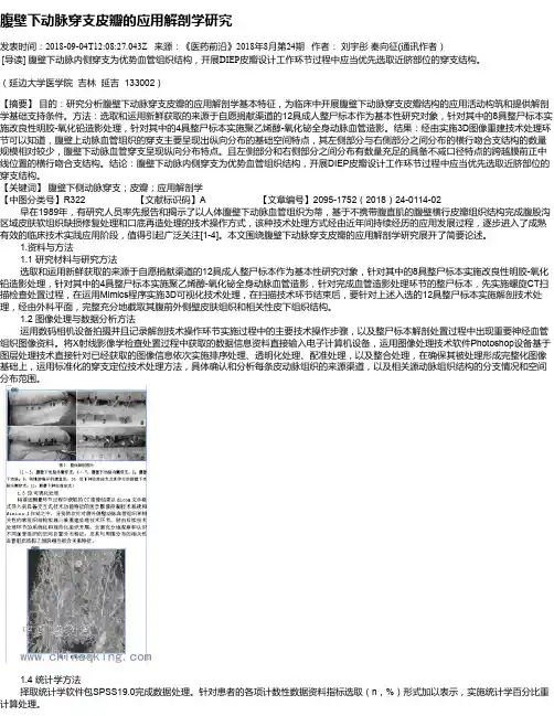 腹壁下动脉穿支皮瓣的应用解剖学研究