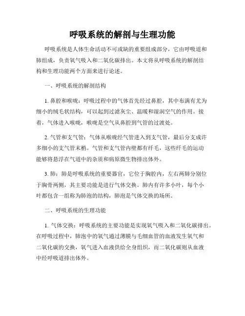 呼吸系统的解剖与生理功能