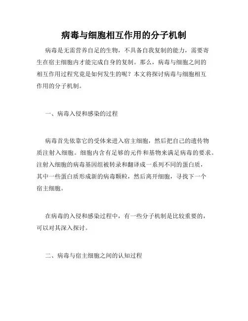 病毒与细胞相互作用的分子机制
