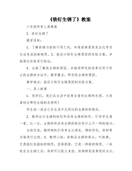 《铁钉生锈了》教案