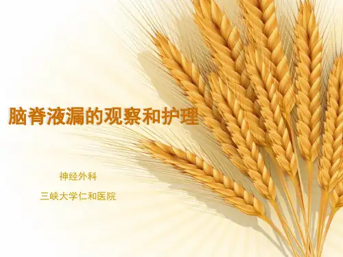 脑脊液漏的护理PPT课件