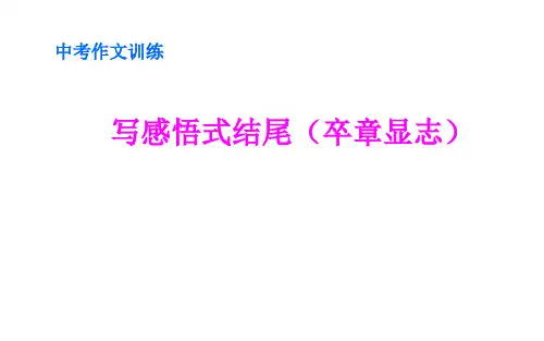 中考作文训练：写感悟式结尾 (共31张PPT)