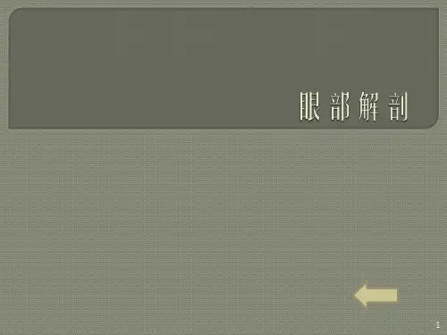 眼部解剖ppt课件