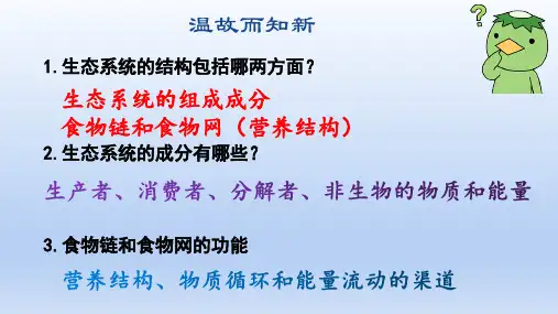 【课件】 生态系统的能量流动课件2022-2023学年高二上学期生物人教版选择性必修2
