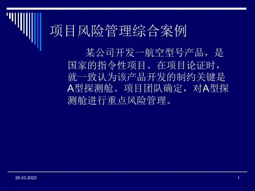 风险管理案例完整版本