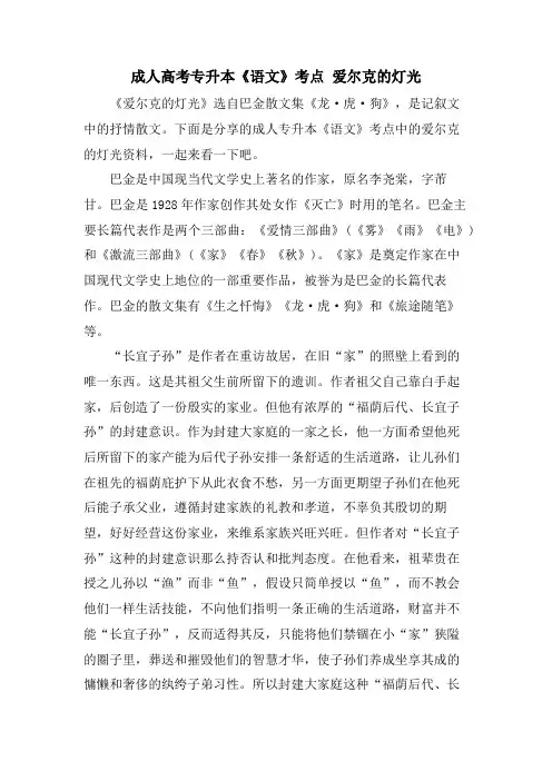 成人高考专升本《语文》考点 爱尔克的灯光