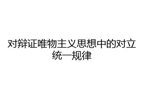 马原实践课ppt