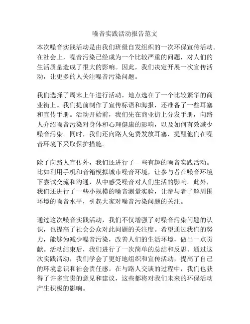 噪音实践活动报告范文