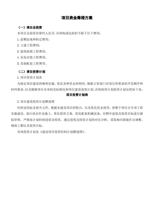 项目资金筹措方案样板