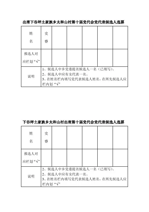 党代表候选人选票