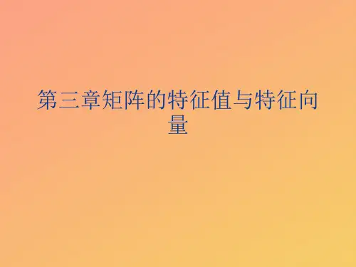 【推选】矩阵的特征值与特征向量PPT资料