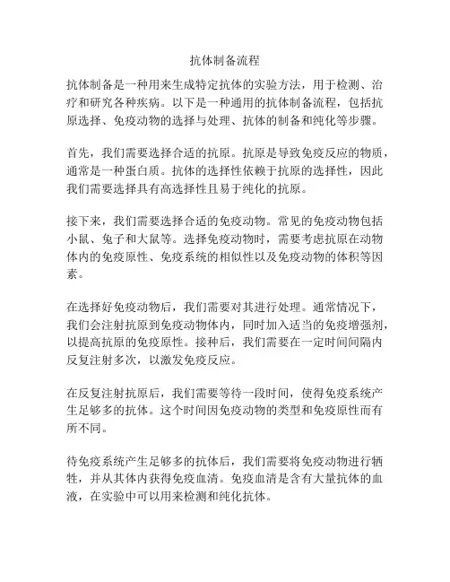 抗体制备流程