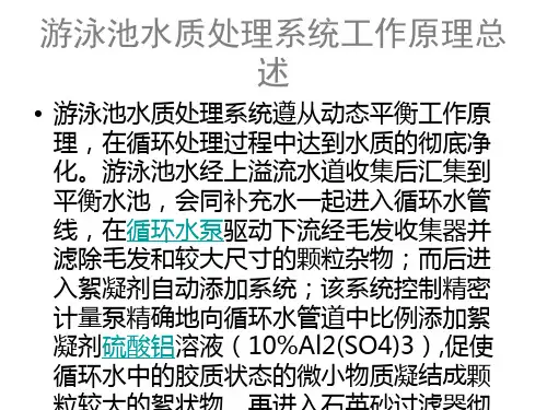 游泳池水质处理系统工作原理总述-PPT课件