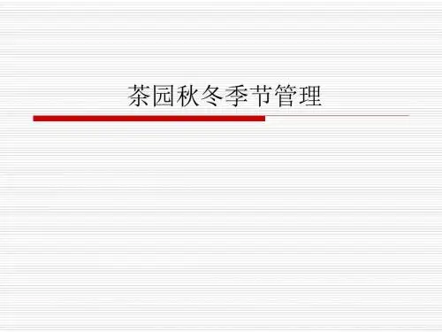茶园秋冬季节管理
