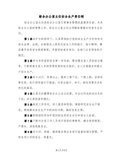综合办公室主任安全生产责任制（5篇）