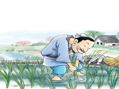 人教版二年级上册语文识字四