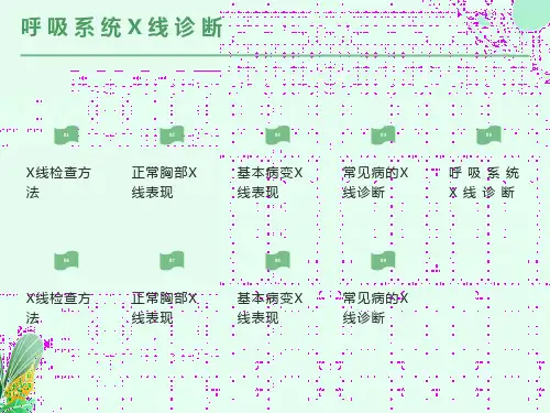 呼吸系统X线诊断PPT课件