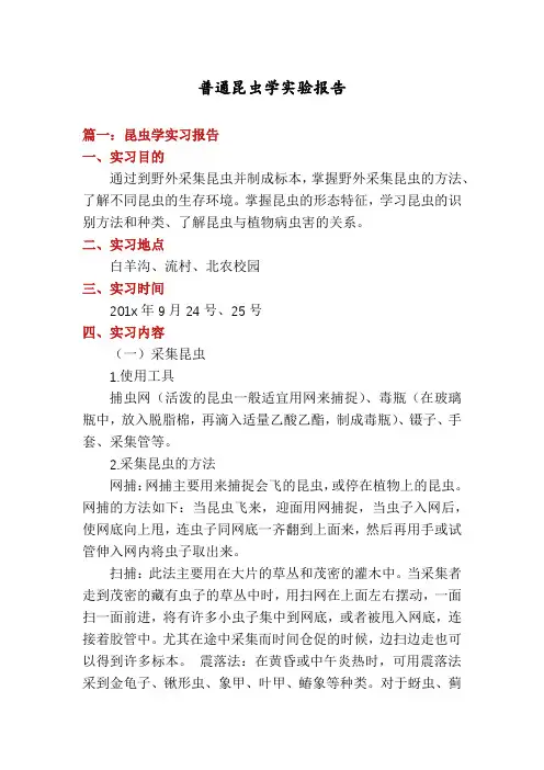 普通昆虫学实验报告
