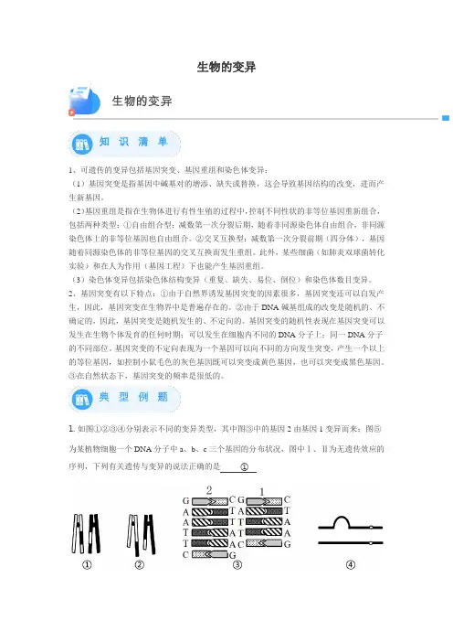 生物的变异