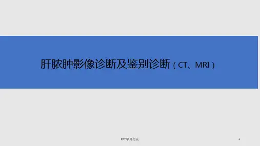 肝脓肿影像诊断及鉴别诊断ppt课件